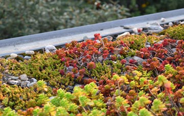 the cost of Trevalga green roof installation