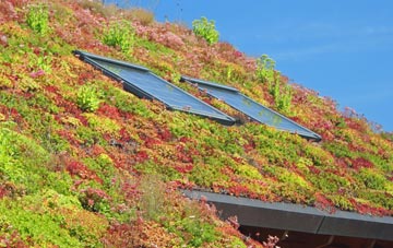Trevalga living roof systems
